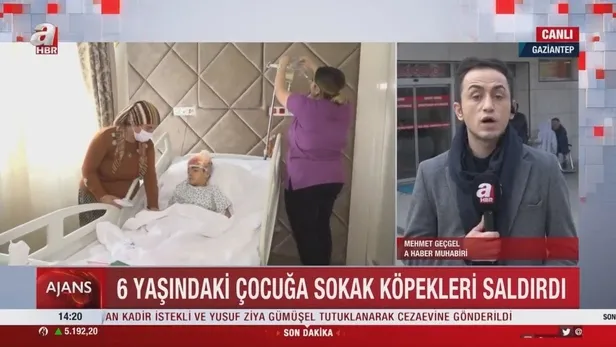 gaziantepin-nurdagindan-kan-donduran-olay-6-yasindaki-nihat-can-arslanin-sokak-kopeklerin-saldirisi-sonucu-kaf-1671134073122.jpeg 6 yaşındaki Nihat Can Arslan dehşeti yaşadı! Sokak köpeğinin saldırısı sonucu kafa derisi koptu-4