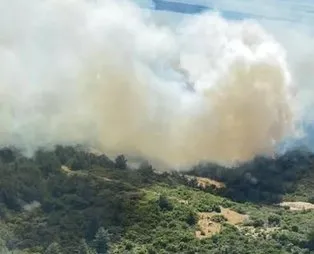 Son dakika: İzmir'de makilik ve orman yangını