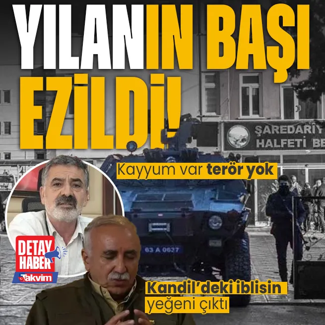 Kayyum atanan Halfetide Yılanın başı ezildi! Mehmet Karayılan teröristbaşı Murat Karayılanın yeğeni çıktı