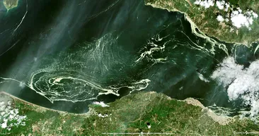 Marmara Denizindeki deniz salyası uydu tarafından görüntülendi