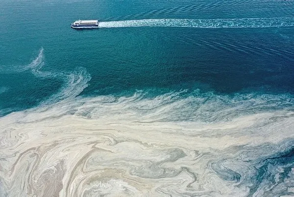 Deniz salyası nedir, nasıl temizlenir? Müsilaj sorununda etkili olan reaktif oksijen nedir?-3