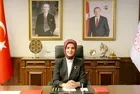 Bakan Göktaş açıkladı! Orman yangınlarının ardından devlet desteği: Aydın, Balıkesir, Antalya ve Muğla'ya 25 milyon lira kaynak