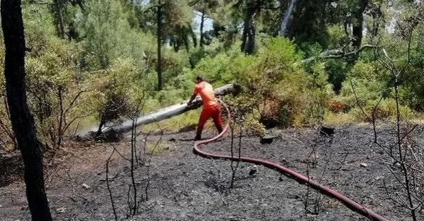 Heybeliada'da orman yangını - Takvim