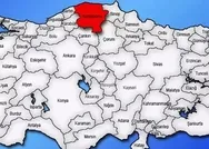 Kilosu 90 TLden satılıyor! Kastamonuda son hasadı yapıldı! Cayır cayır yağ yaktırıyor