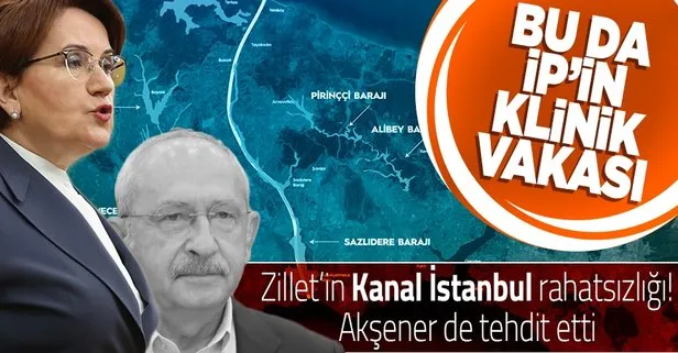 Meral Akşener: Kanal İstanbul'u durduracağız