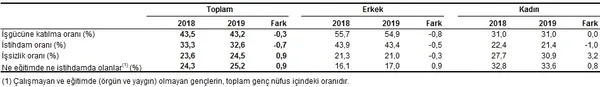 Son dakika: 2019 Kasım dönemi işsizlik rakamları açıklandı-4