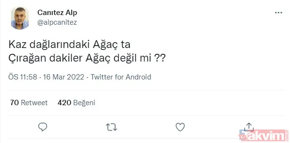 Gezici tayfa ve sözde çevrecilerin ikiyüzlülüğü! CHP'li İBB'nin ağaç katliamı karşısında dilini yuttular: Tepkiler çığ gibi - 4