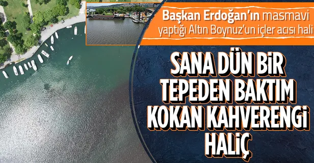 Bir zamanlar masmavi olan Haliç'in rengi şimdilerde yine kahverengiye döndü! Üstelik kötü kokular da yayılmaya başladı