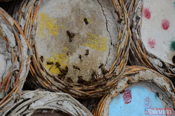 Kilosu 350 TL! 3 bin rakımda üretilen karakovan balından bu yıl 250 ton bekleniyor - 14