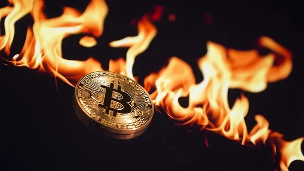 1605246786524.jpg Bitcoin'de yükseliş durdurulamıyor! 16 bin doları da aştı | 13 Kasım 2020 Bitcoin fiyatları-6