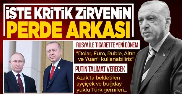 Başkan Erdoğan - Putin görüşmesinin perde arkası: Azak’ta bekletilen gemiler ve Rusya ile ticaret...