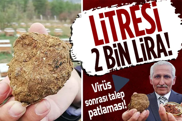 Koronavirüs sonrası talep patlaması! Litresi 2 bin lira!-1