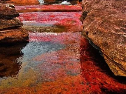 5 renk akan nehir görenleri şaşırtıyor