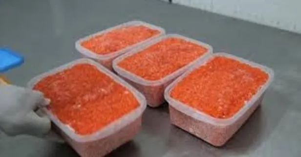 Bolu Su Ürünleri Tesisi’nde mersin balığı üretimi başladı: Havyarına ilgi büyük