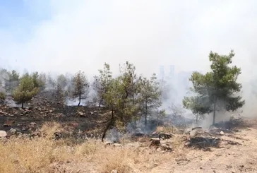 Şanlıurfa'da korkutan orman yangını!