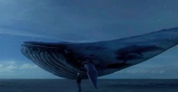 150 intiharda mavi balina izi
