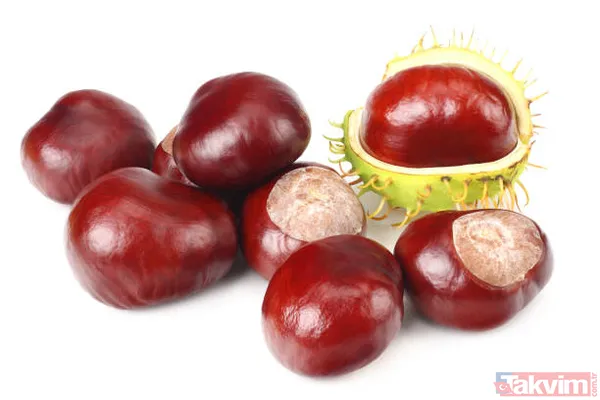 Mucizevi at kestanesi ile tüm hastalıklara savaş açın! Her derde şifa! Ağrıları bıçak gibi kesiyor! - 16