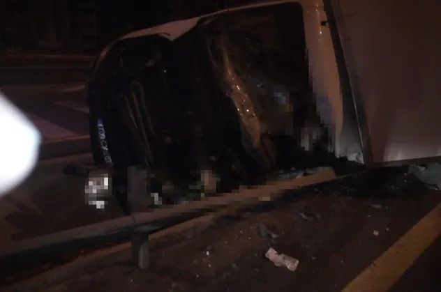 Kayseri'de yarış atı taşıyan kamyon devrildi: 2 ölü, 1 yaralı