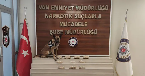 Van'da zehir tacirlerine operasyon