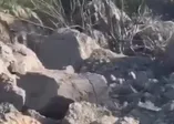 O terörist sağ ele geçirildi! İşte o anlar