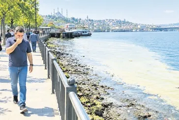 Başkan Erdoğan temizletmişti! CHP’li İBB döneminde Haliç yine bataklığa dönüyor