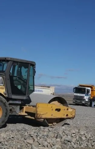 Başkan Erdoğan sokak köpekleri için talimatı verdi! 2 dev merkez yapılacak