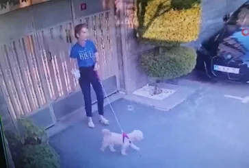 Ataşehir'de vahşet! Kangal köpeği başka bir köpeği parçaladı: Olayı gören sahibi kalp krizi geçirdi