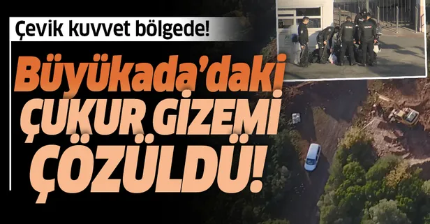 Son dakika: Büyükada'daki atlarda Ruam hastalığı tespit edildi! Ruam hastalığı nedir? İnsanlara bulaşır mı?