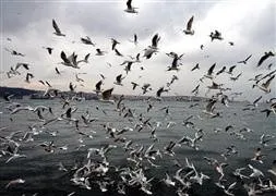 İstanbul’u 8 dakikada vuracak