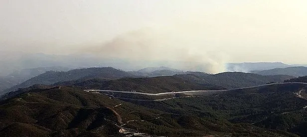 Türkmendağı’nda orman yangını