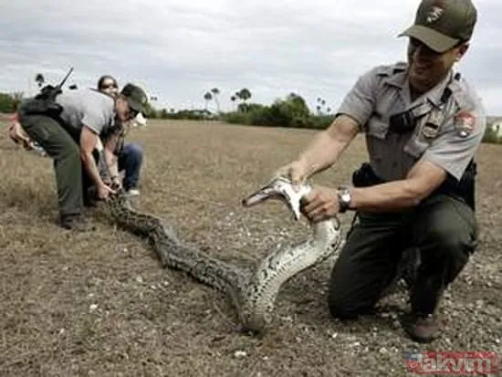 Duvarın içinden gelen seslerden ilallah etti sonunda paramparça etti! Gördükleri karşısında kalbi yerinden çıkacaktı - 40