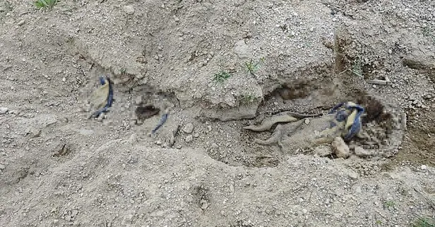 Nevşehir'de korkunç olay: Battaniyeye sarılı ceset bulundu