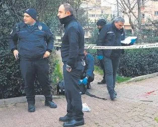 Sitoçi operasyonu