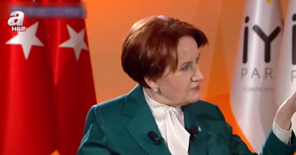 İYİ Parti Genel Başkanı Meral Akşener'den itiraf gibi açıklama: Millet İttifakı bir projedir!