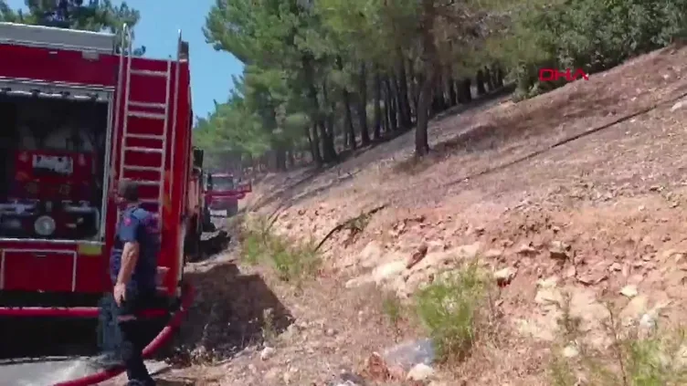 Kahramanmaraş'ta çıkan orman yangını