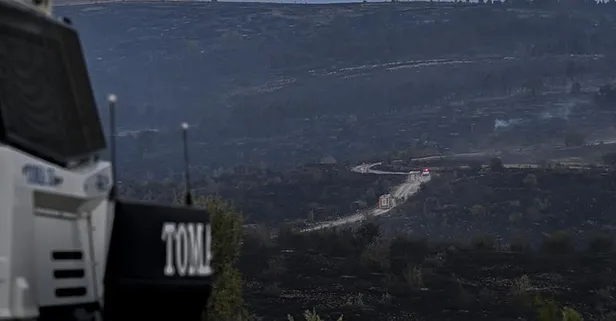 Ankara'da başladı Bolu'ya sıçradı! Gerede'deki orman yangını kontrol altına alındı