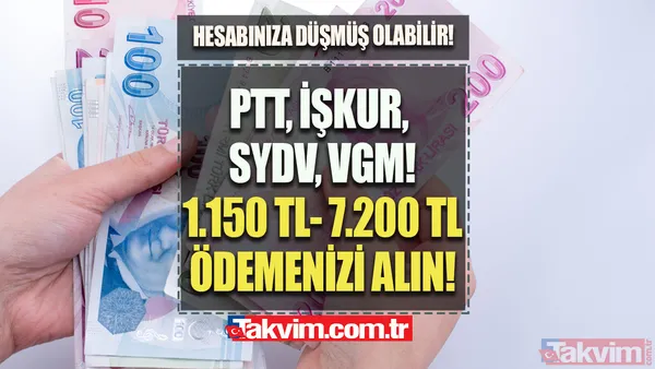 PTT, İŞKUR, SYDV, VGM, Aile Bakanlığı! Eylül ayında 1.150 TL-7.200 TL arası ödemenizi alın! Hesabınıza para düşmüş olabilir! e-Devlet'ten... - 1