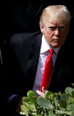 Trump'tan göçmenlere skandal tehdit