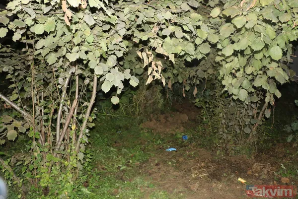 SON DAKİKA: Ordu'da kan donduran olay: Fındık bahçesine gömülü yeni doğmuş bebek cesedi bulundu! 2 kız kardeş gözaltında - 10