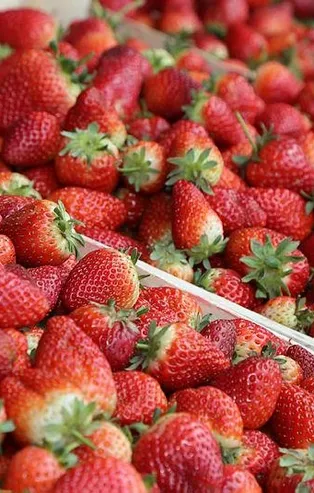 Enerjinin kırmızı hali