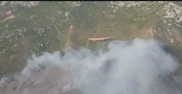 İzmir’de orman yangını! 15 saatlik çalışmanın sonunda söndürüldü