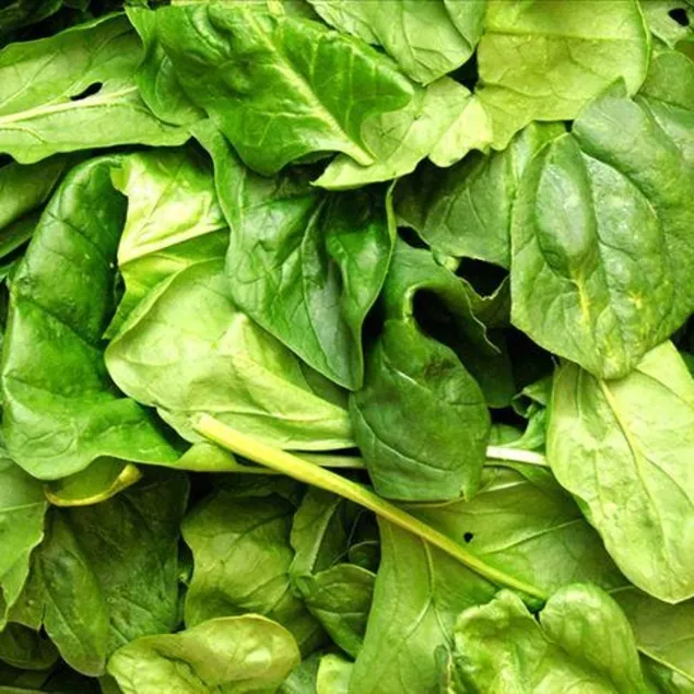 Lahana ıspanak kısır olmasak