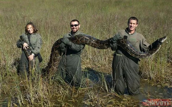 Duvarın içinden gelen seslerden ilallah etti sonunda paramparça etti! Gördükleri karşısında kalbi yerinden çıkacaktı - 36