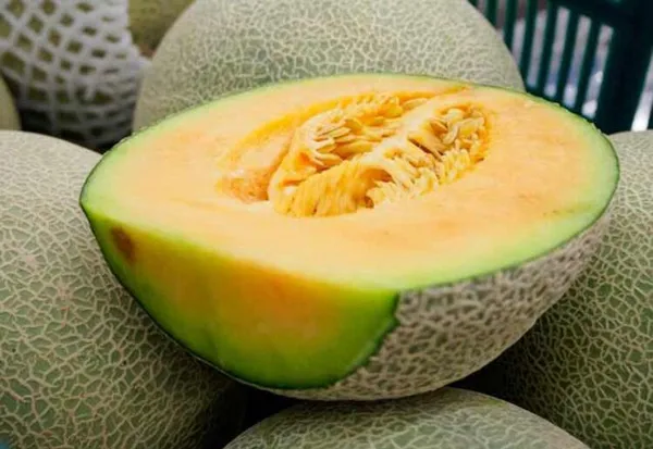 japonyada-2-adet-kavun-208-bin-liraya-alici-buldu-1621841804807.jpg Japonya'da 2 adet kavun 208 bin liraya alıcı buldu-6