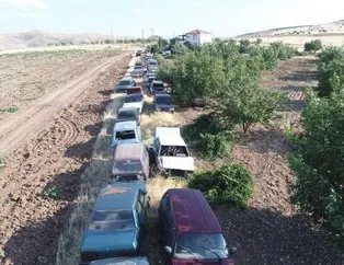 Elazığlının bahçesinde çıkan 50 otomobil görenleri şaşırtıyor!