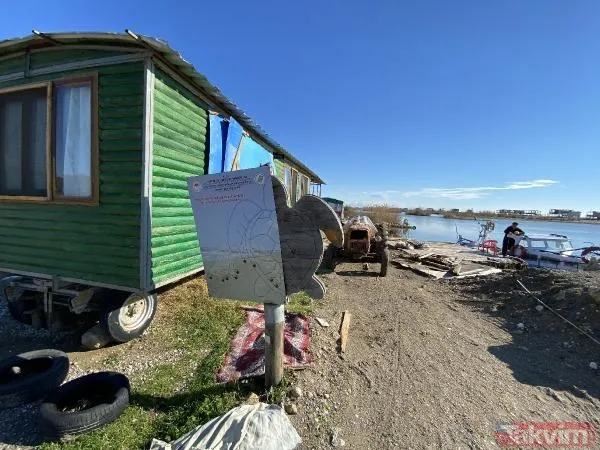 Antalya Aksu Kumköy Sahili'nde doğa katliamı! Kaçak barakalar yüzünden caretta carettaların yumurtalarının yüzde 56,9'u bozuk çıktı - 9