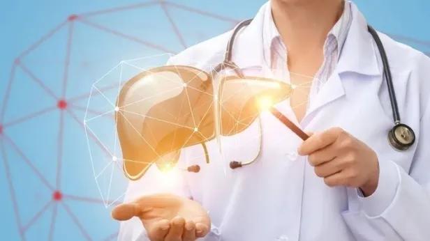 Karaciğerdeki toksinleri arındıran mucize kür! İbn-i Sinanın şişkinliği, önleyen ödem atan tarifi!