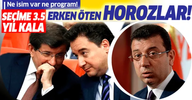 Siyasette erken öten horozlar furyası! "İmamoğlu, Davutoğlu, Babacanoğlu..."
