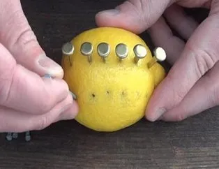 Rus mühendis limon ile inanılmazı başardı!
