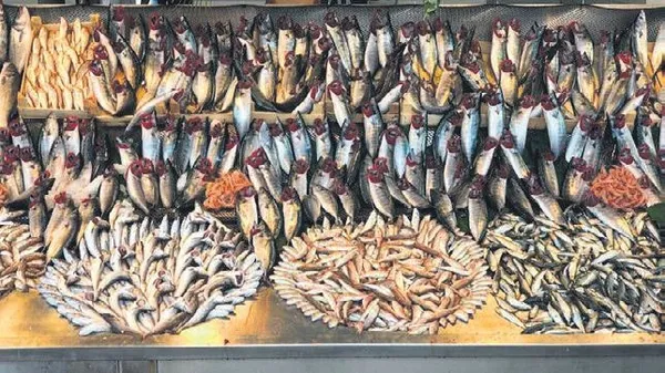 Kapıcılar kralı (Yurttan ve dünyadan koronavirüs haberleri)-5